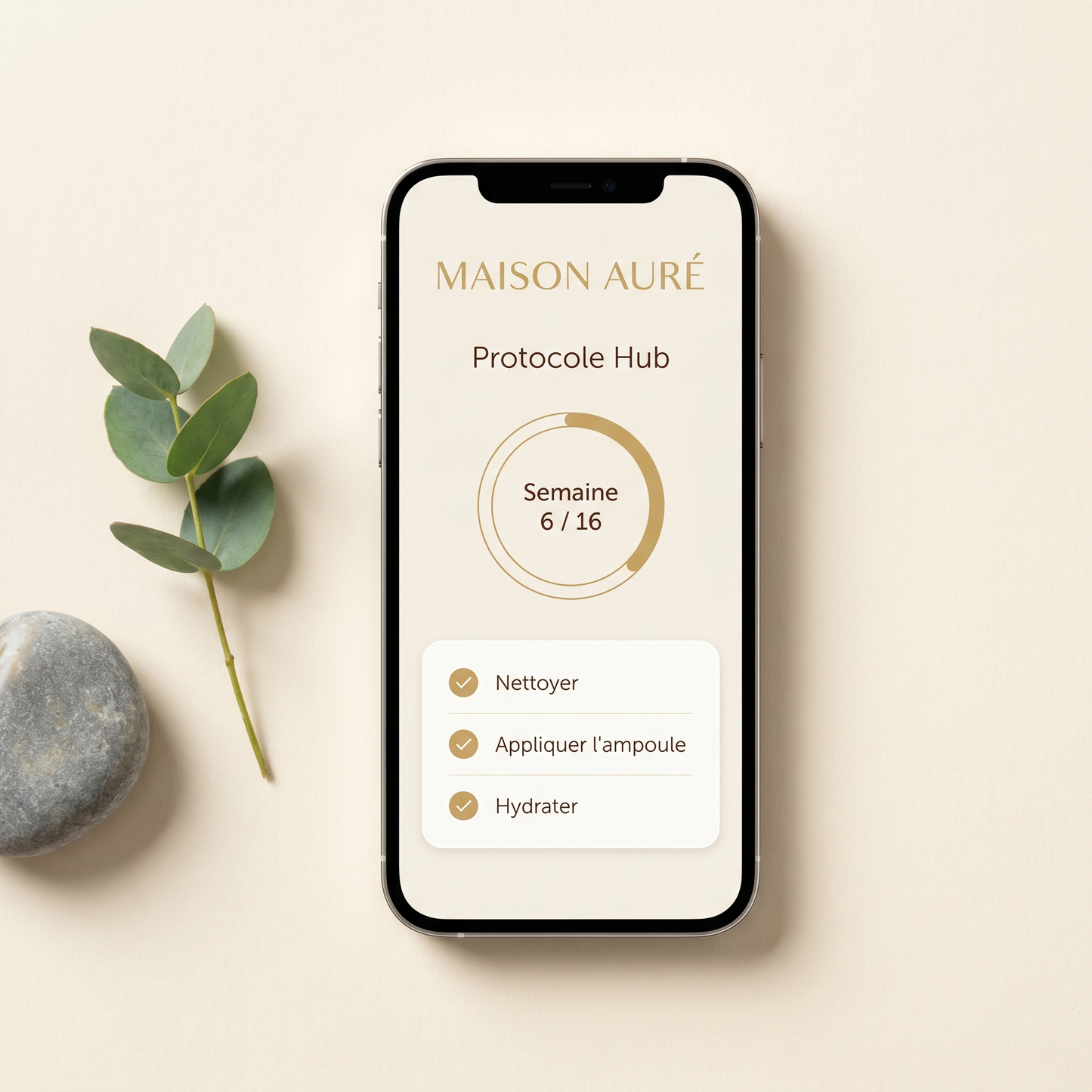 App Protocole Hub — cadeau numérique Maison Auré