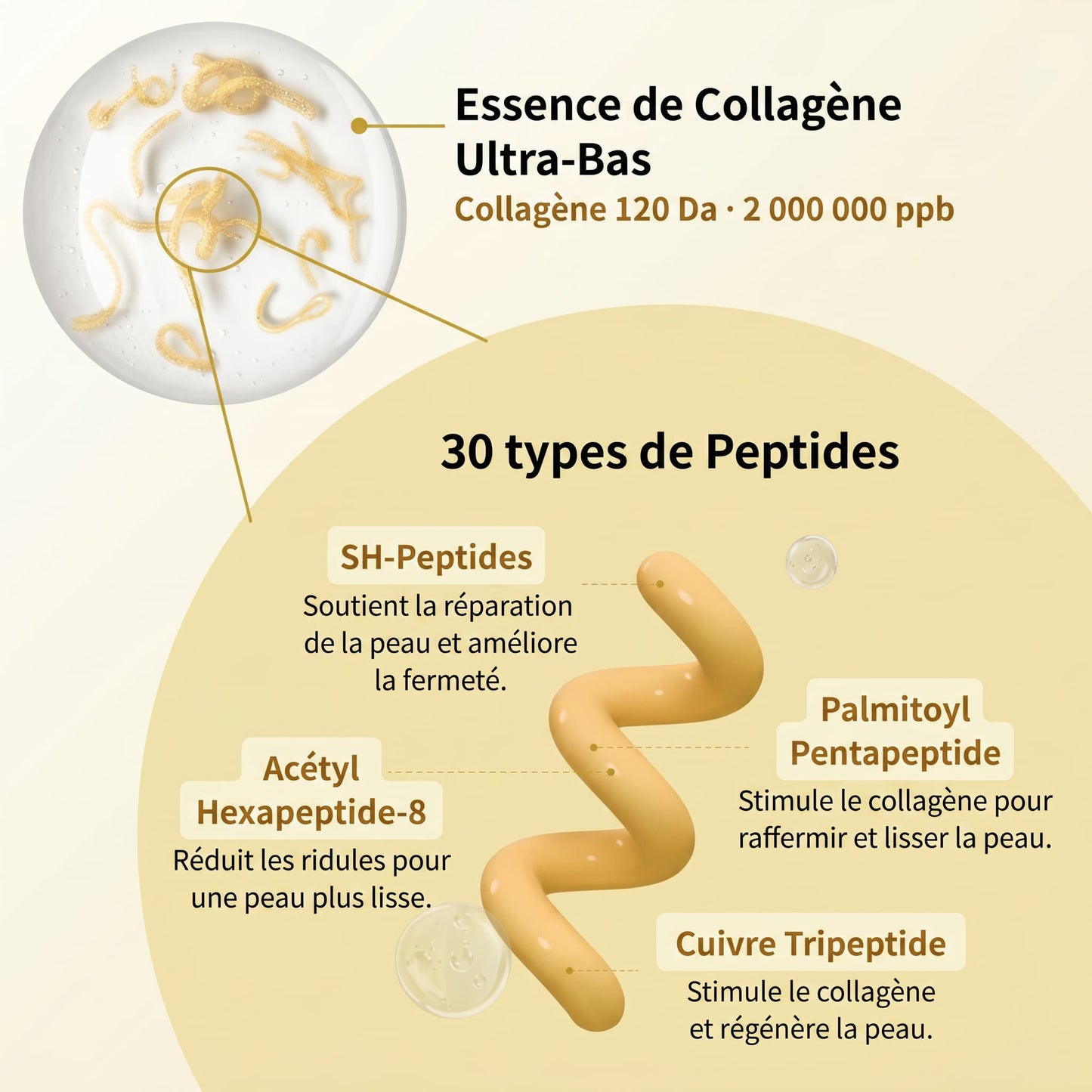 Ampoule Intensive — Collagène & Peptides de Soie
