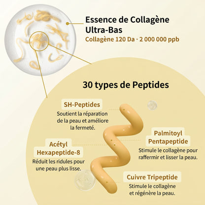 Ampoule Intensive — Collagène & Peptides de Soie